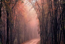 狂丢7个局点！世乒赛男单季军遭单局大逆转，日韩两大名将爆冷出局.