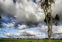 超凡国际：不到一米八要打上职业有多难？徐杰首次回忆只有眼泪和篮球的童年.