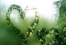 欧冠：拜仁慕尼黑队总比分5-0淘汰勒沃库森队 强势晋级八强.